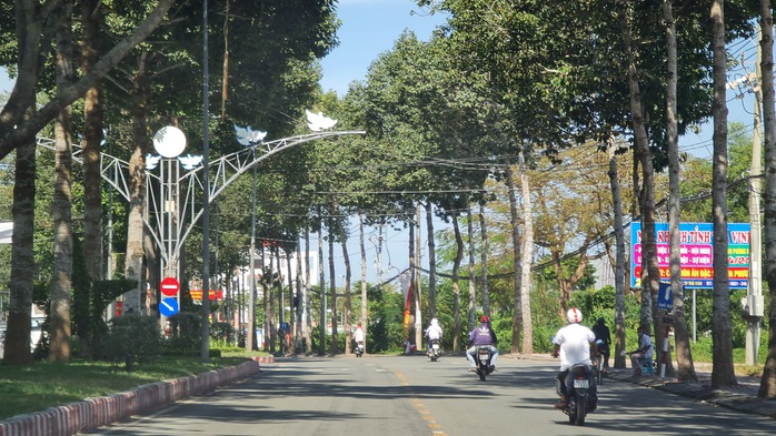 Phát triển đô thị không ảnh hưởng cây xanh- Ảnh 1. Phát triển đô thị không ảnh hưởng cây xanh- Ảnh 1.