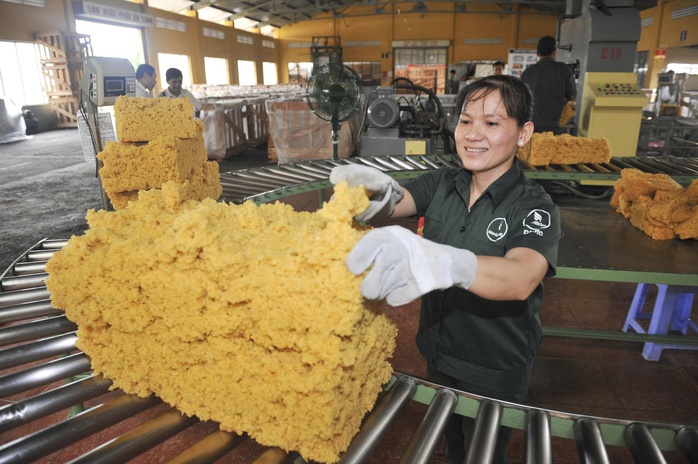VRG mở rộng cánh cửa vào các thị trường khó tính - Ảnh 2.