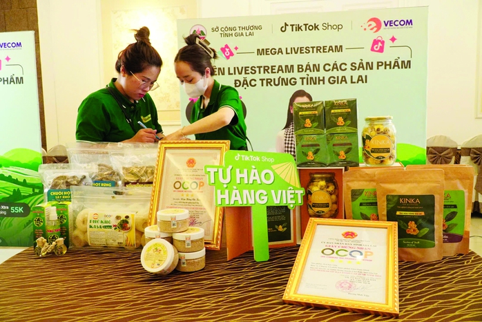 Sở Công Thương Gia Lai đưa hàng Việt lên ngôi- Ảnh 1. Sở Công Thương Gia Lai đưa hàng Việt lên ngôi- Ảnh 1.