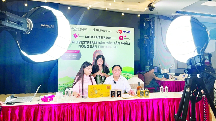 Sở Công Thương Gia Lai đưa hàng Việt lên ngôi- Ảnh 3. Sở Công Thương Gia Lai đưa hàng Việt lên ngôi- Ảnh 3.
