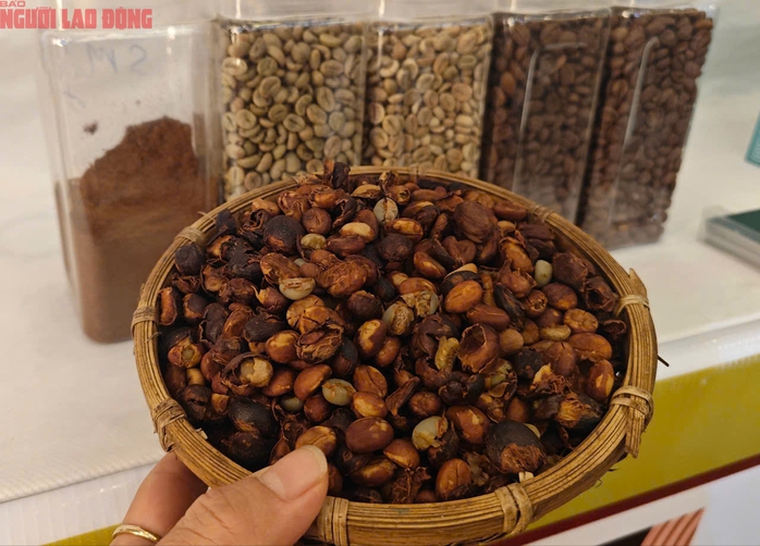 Giá cà phê hôm nay 21-6: Tụt dốc đến khó tin
- Ảnh 1.
Giá cà phê hôm nay 21-6: Tụt dốc đến khó tin
- Ảnh 1.