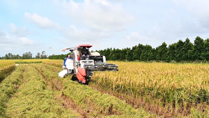 Sóc Trăng: Nhiều giải pháp thúc đẩy tăng trưởng kinh tế của tỉnh- Ảnh 2. Sóc Trăng: Nhiều giải pháp thúc đẩy tăng trưởng kinh tế của tỉnh- Ảnh 2.