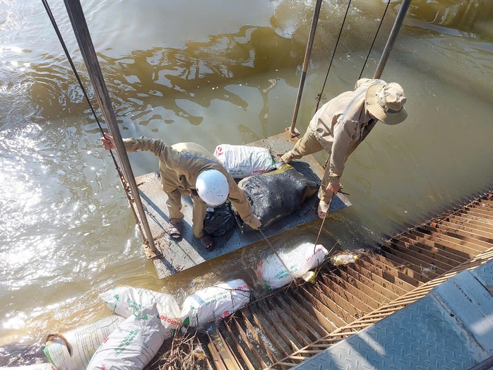Hình ảnh heo chết nằm la liệt trên kênh dẫn nước ở Bình Dương - Ảnh 3.