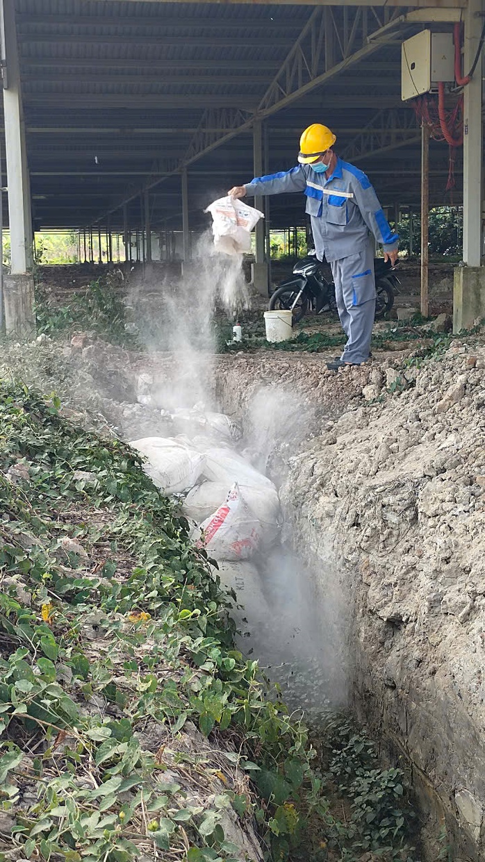 Hình ảnh heo chết nằm la liệt trên kênh dẫn nước ở Bình Dương - Ảnh 10.