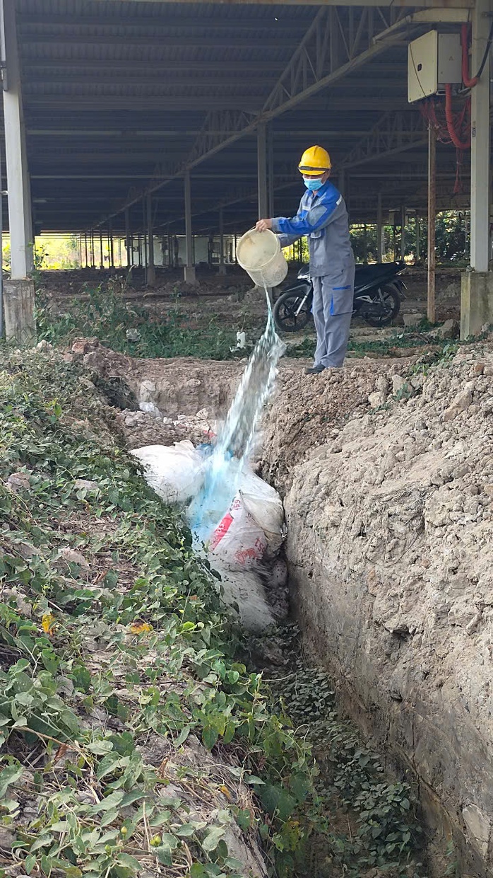 Hình ảnh heo chết nằm la liệt trên kênh dẫn nước ở Bình Dương - Ảnh 11.