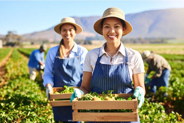 Sốt ruột với chương trình sang Úc làm nông - Ảnh 1.