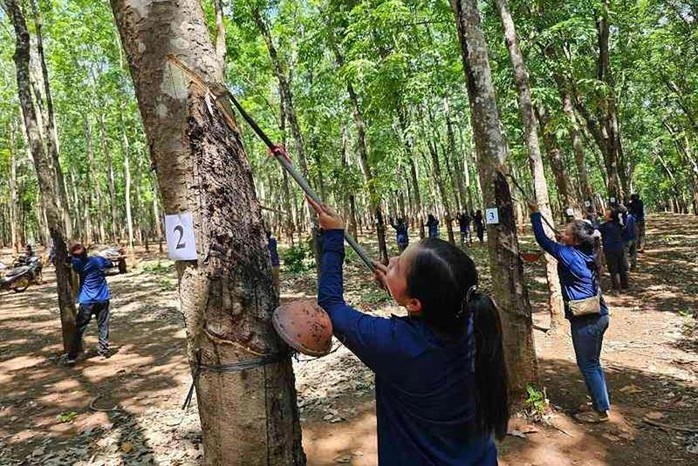 Dakruco đẩy mạnh chăm lo đời sống của người lao động- Ảnh 3. Dakruco đẩy mạnh chăm lo đời sống của người lao động- Ảnh 3.
