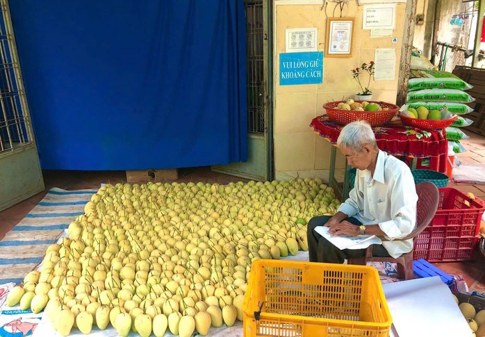 Cuộc thi viết “Lòng tốt quanh tôi” lần 3: Dốc tâm huyết phát triển xoài sạch - Ảnh 1. Cuộc thi viết “Lòng tốt quanh tôi” lần 3: Dốc tâm huyết phát triển xoài sạch - Ảnh 1.