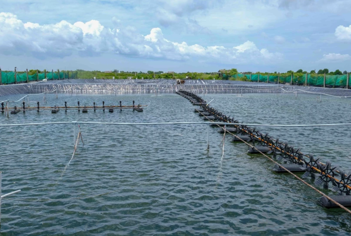 Địa hạt năng lượng – lương thực chủ lực của Việt Nam trong tương lai- Ảnh 1. Địa hạt năng lượng – lương thực chủ lực của Việt Nam trong tương lai- Ảnh 1.