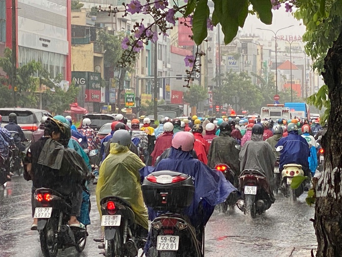 TP HCM: Gió rít mạnh, mưa như trút nước  - Ảnh 3.