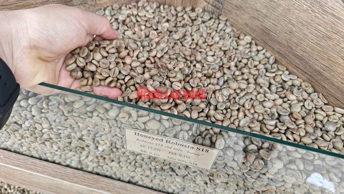 Giá cà phê hôm nay 5-6: Cắt đà giảm và kỷ lục mới của cà phê - Ảnh 1.