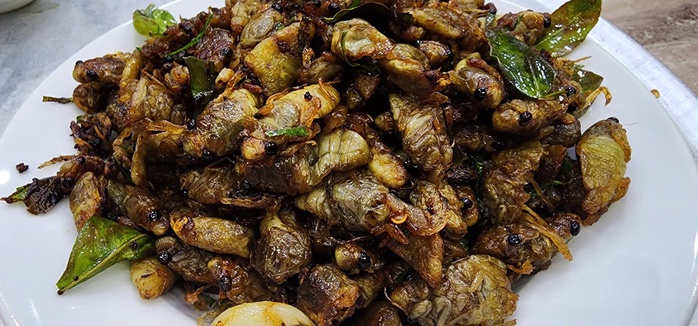 Nam thanh niên nguy kịch sau khi ăn ve sầu- Ảnh 1.