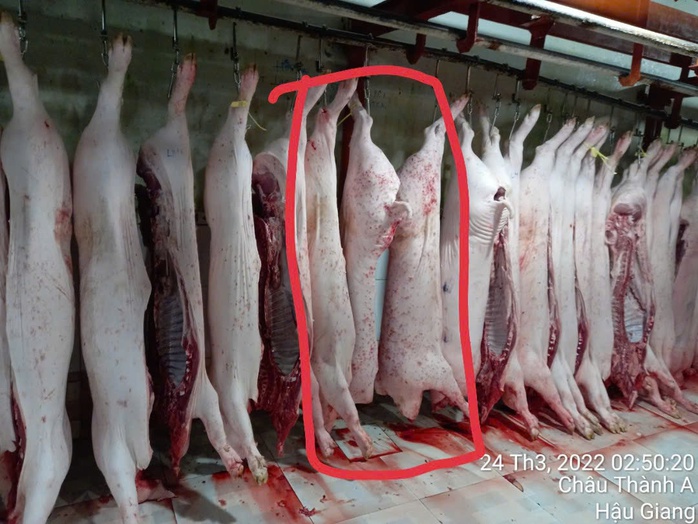 Vụ tố cửa hàng của C.P. Việt Nam: Ông L.Q.N tung thêm bắng chứng? - Ảnh 1.