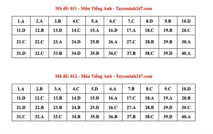 Thi lớp 10 Hà Nội: Đáp án môn tiếng Anh - Ảnh 3.