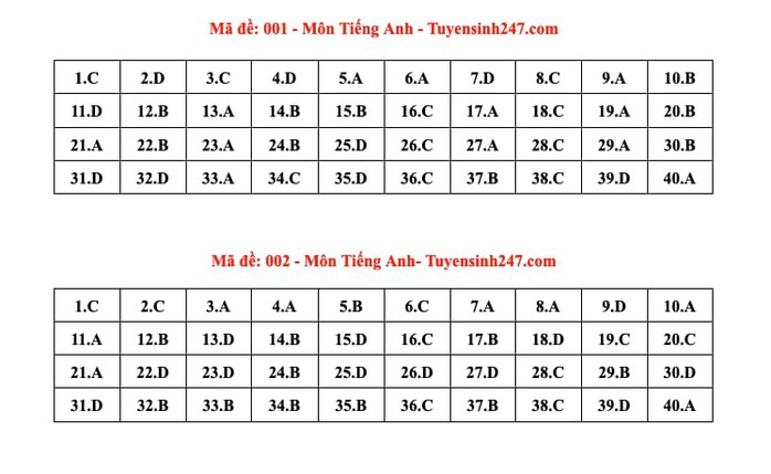 Thi lớp 10 Hà Nội: Đáp án môn tiếng Anh - Ảnh 1.