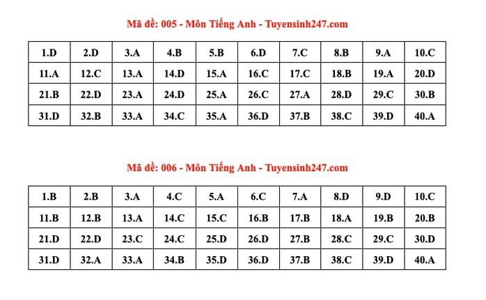 Thi lớp 10 Hà Nội: Đáp án môn tiếng Anh - Ảnh 6.