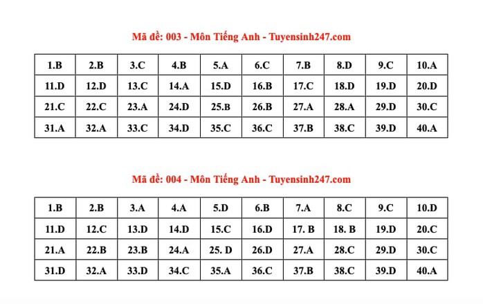 Thi lớp 10 Hà Nội: Đáp án môn tiếng Anh - Ảnh 2.