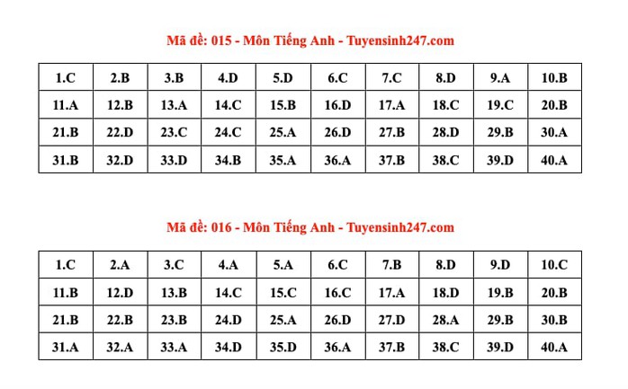 Thi lớp 10 Hà Nội: Đáp án môn tiếng Anh - Ảnh 4.