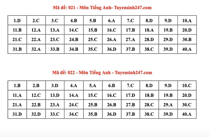 Thi lớp 10 Hà Nội: Đáp án môn tiếng Anh - Ảnh 8.
