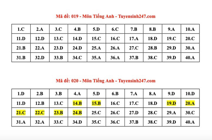 Thi lớp 10 Hà Nội: Đáp án môn tiếng Anh - Ảnh 5.