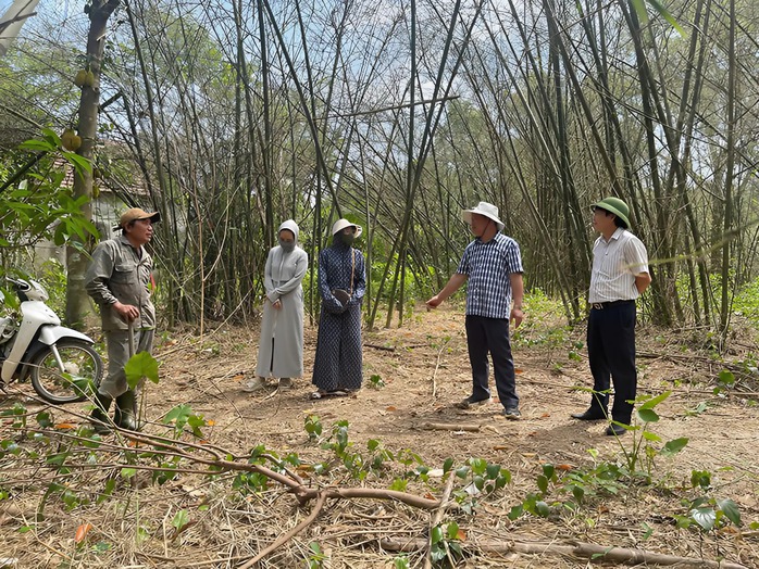 Quảng Bình ứng phó ra sao với nạn châu chấu "đổ bộ" bất thường?- Ảnh 1. Quảng Bình ứng phó ra sao với nạn châu chấu "đổ bộ" bất thường?- Ảnh 1.