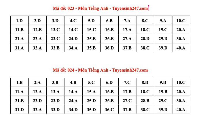 Thi lớp 10 Hà Nội: Đáp án môn tiếng Anh - Ảnh 12.
