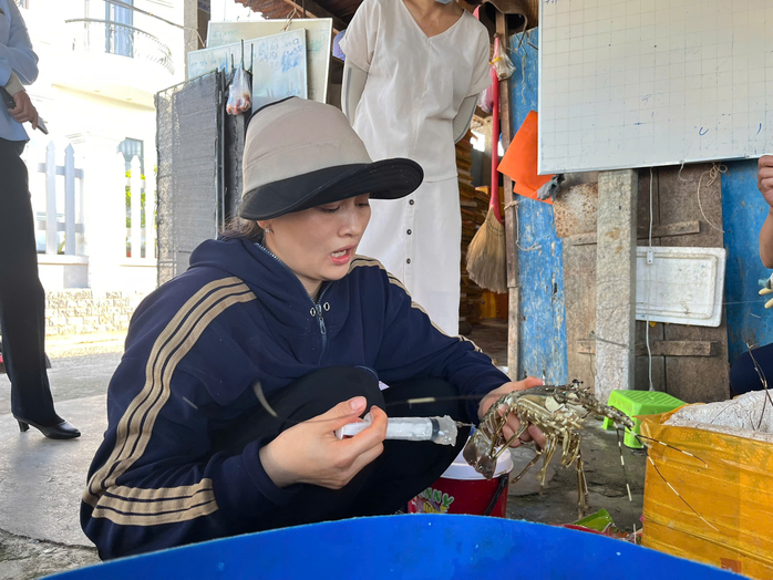 "Hô biến" tôm hùm chết thành tôm tươi lừa người tiêu dùng- Ảnh 1. "Hô biến" tôm hùm chết thành tôm tươi lừa người tiêu dùng- Ảnh 1.