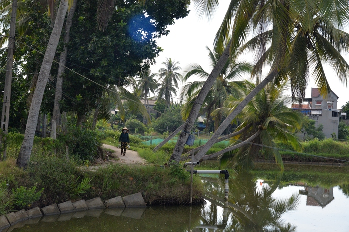 Làng "cô đơn" bên cửa biển Cửa Lở- Ảnh 2. Làng "cô đơn" bên cửa biển Cửa Lở- Ảnh 2.