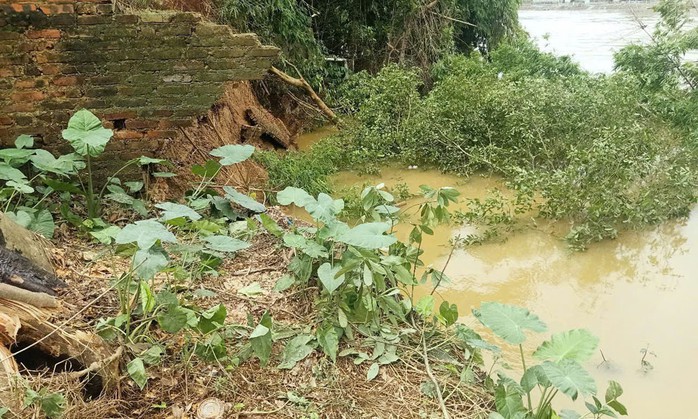 Từ vụ tuyến đê tả Cầu, Bắc Ninh xảy ra sự cố, Bộ NN-MT đề nghị đảm bảo hộ đê mùa lũ - Ảnh 1.