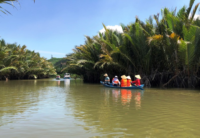 Phục hồi "lá phổi xanh" ven biển- Ảnh 1.