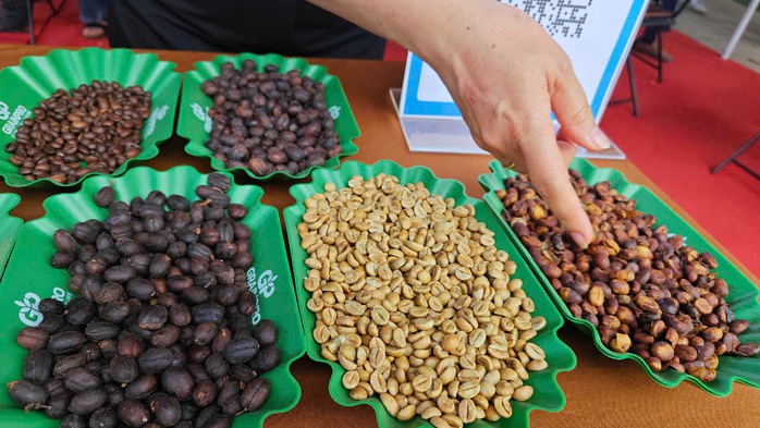 Giá cà phê hôm nay 11-7: Robusta lao dốc 3 con số- Ảnh 1. Giá cà phê hôm nay 11-7: Robusta lao dốc 3 con số- Ảnh 1.