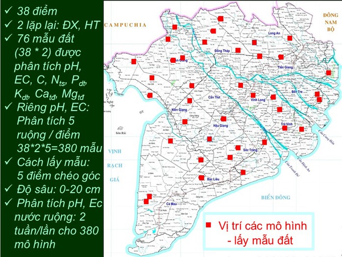 Thực trạng và giải pháp bổ sung Can-xi cho đất lúa vùng Đồng bằng Sông Cửu Long- Ảnh 1.