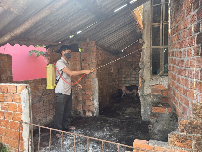 Dịch tả lợn châu Phi bùng phát, Quảng Ngãi phát thông báo đến từng hộ dân- Ảnh 3.