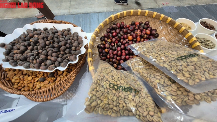 Giá cà phê hôm nay 15-7: Bùng nổ, tăng vọt "như mơ"- Ảnh 2. Giá cà phê hôm nay 15-7: Bùng nổ, tăng vọt "như mơ"- Ảnh 2.