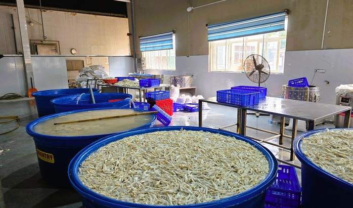 Phát hiện gần 7 tấn chân gà ngâm chất tẩy trắng- Ảnh 1. Phát hiện gần 7 tấn chân gà ngâm chất tẩy trắng- Ảnh 1.