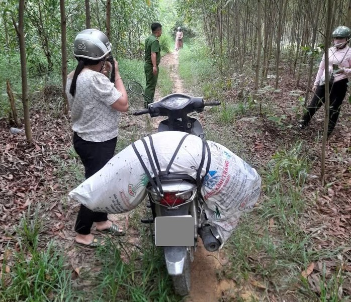 Hãi hùng cảnh heo chết vì bệnh dịch tả vứt đầy kênh- Ảnh 7. Hãi hùng cảnh heo chết vì bệnh dịch tả vứt đầy kênh- Ảnh 7.