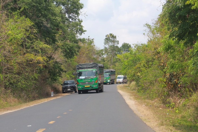 Đại ngàn nối liền biển xanh: Cơ hội rộng mở - Ảnh 1.