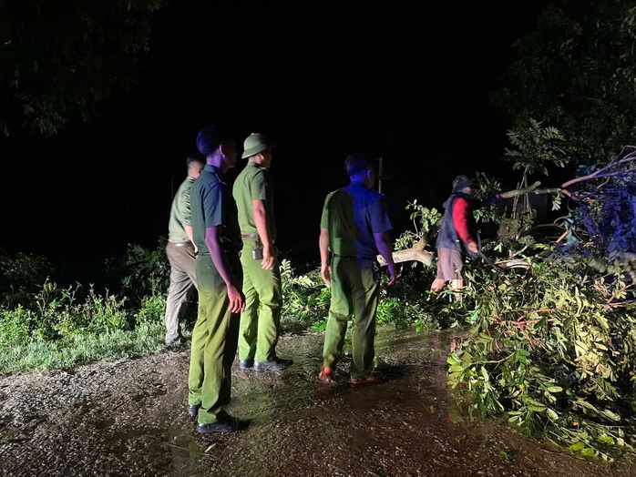 Người đàn ông tử vong do bị cành cây gãy rơi trúng người- Ảnh 1.