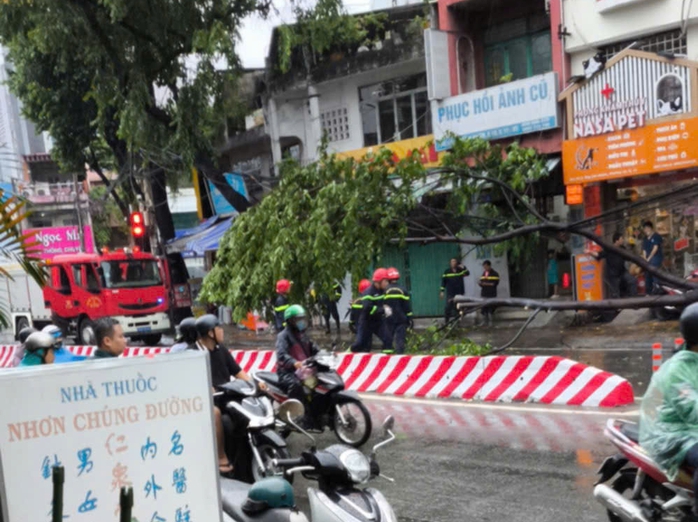 Trưa nay, gió lớn ở TP HCM, cây xanh ngã đổ nhiều nơi- Ảnh 3.
