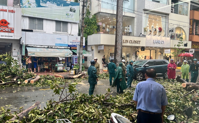 Trưa nay, gió lớn ở TP HCM, cây xanh ngã đổ nhiều nơi- Ảnh 1.