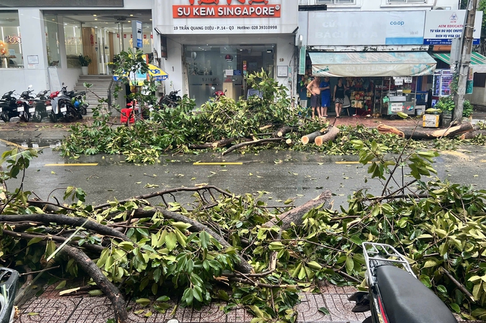 CSGT TP HCM sẵn sàng hỗ trợ người dân qua các đoạn ngập trong mưa lớn- Ảnh 1.