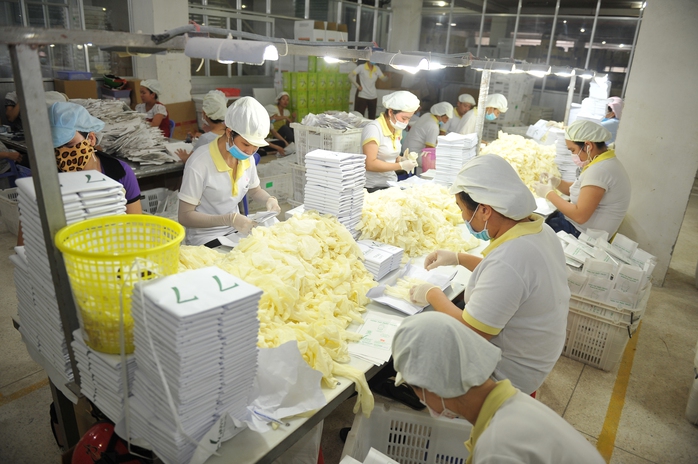 Đảng bộ VRG: Hành trình bền bỉ sáng tạo, đổi mới và vươn mình- Ảnh 7.