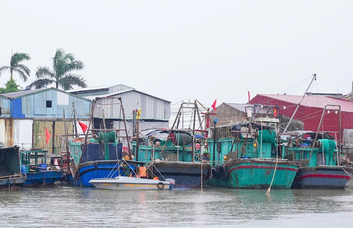 Phó Thủ tướng Trần Hồng Hà kiểm tra công tác phòng, chống bão số 3 (Wipha)- Ảnh 2. Phó Thủ tướng Trần Hồng Hà kiểm tra công tác phòng, chống bão số 3 (Wipha)- Ảnh 2.