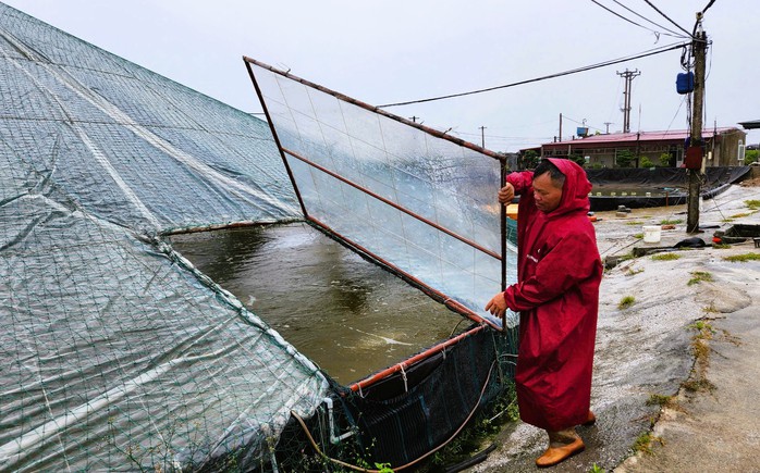 Bão số 3 chưa vào, hàng trăm nhà dân ở Thanh Hóa đã tốc mái, hư hỏng- Ảnh 2. Bão số 3 chưa vào, hàng trăm nhà dân ở Thanh Hóa đã tốc mái, hư hỏng- Ảnh 2.