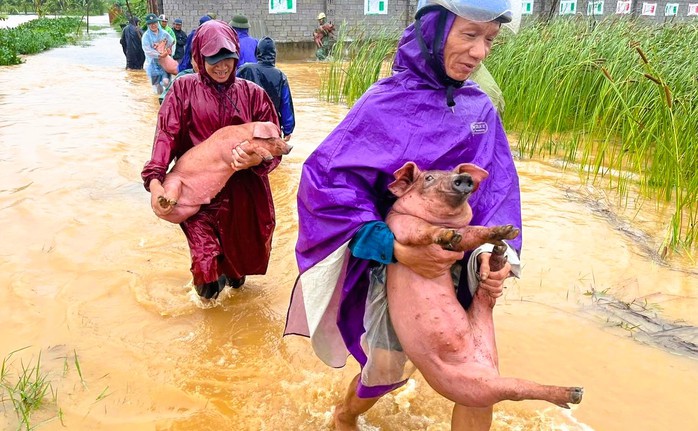Thanh Hóa ban hành công điện khẩn sau bão số 3 Wipha- Ảnh 2. Thanh Hóa ban hành công điện khẩn sau bão số 3 Wipha- Ảnh 2.