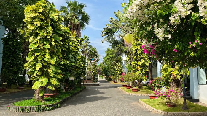 Cập cảng yên bình của doanh nhân toàn cầu- Ảnh 2.