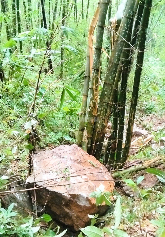 Hiện trường đá rơi ầm ầm từ trên núi ở Thanh Hóa- Ảnh 5. Hiện trường đá rơi ầm ầm từ trên núi ở Thanh Hóa- Ảnh 5.