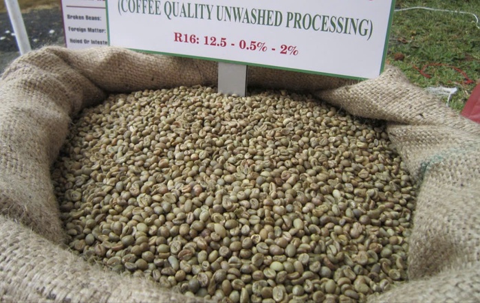 Giá cà phê hôm nay 24 - 7: Robusta hồi phục và dự báo tăng trưởng - Ảnh 1.
