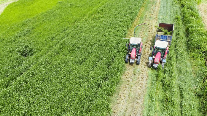 Vinamilk Green Farm dưới lăng kính phát triển bền vững có gì đặc biệt?- Ảnh 3.