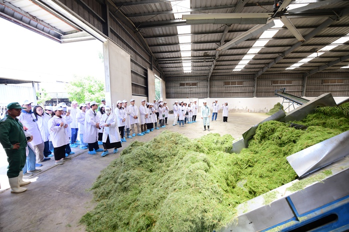Vinamilk Green Farm dưới lăng kính phát triển bền vững có gì đặc biệt?- Ảnh 2.